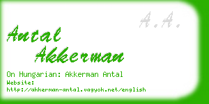 antal akkerman business card